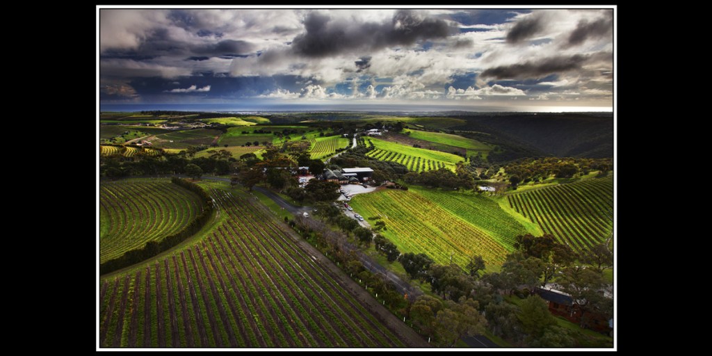 Thumbnail for Sustainability theme for Fleurieu Art Prize