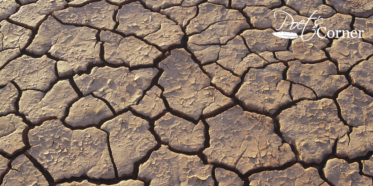 Thumbnail for Joyce Freedman’s Drought