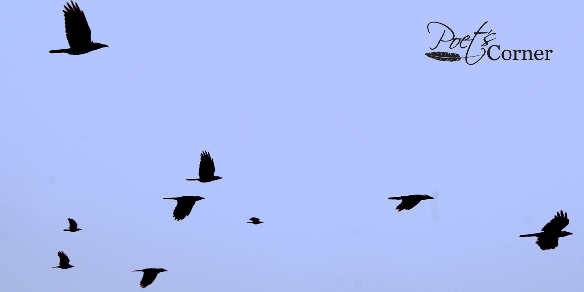 Thumbnail for Poems: Crows & Rabbits