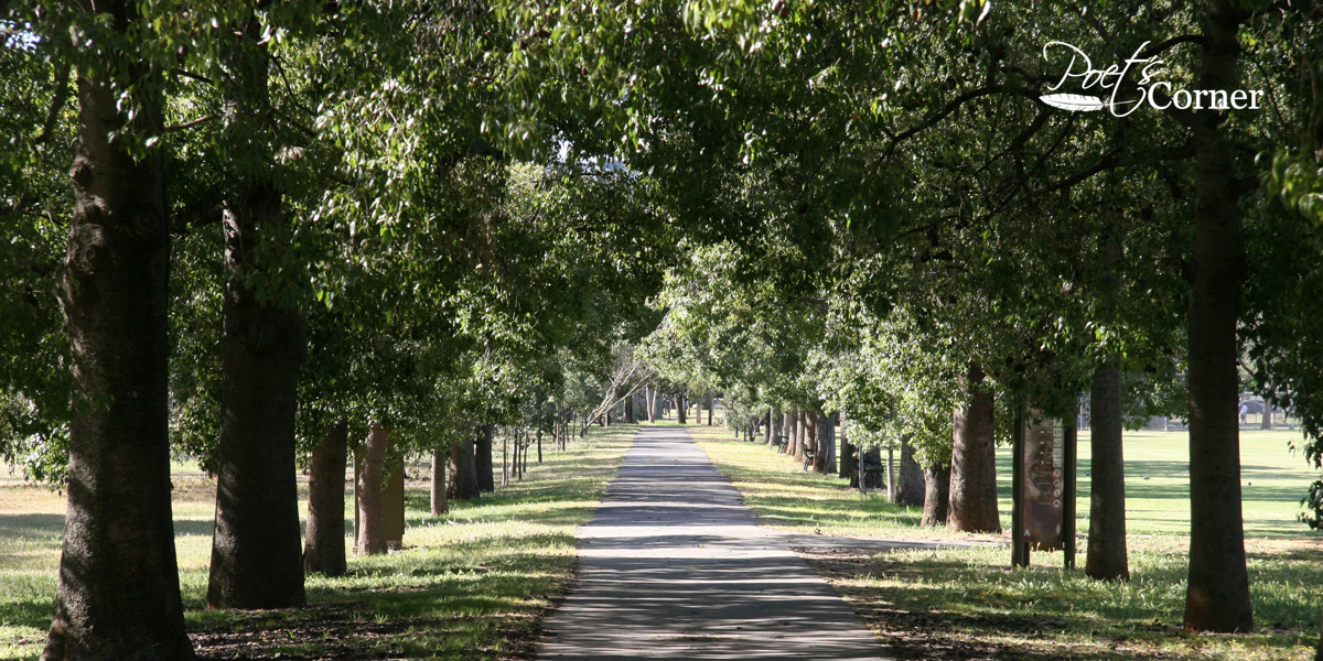 Thumbnail for Poetry of the parklands