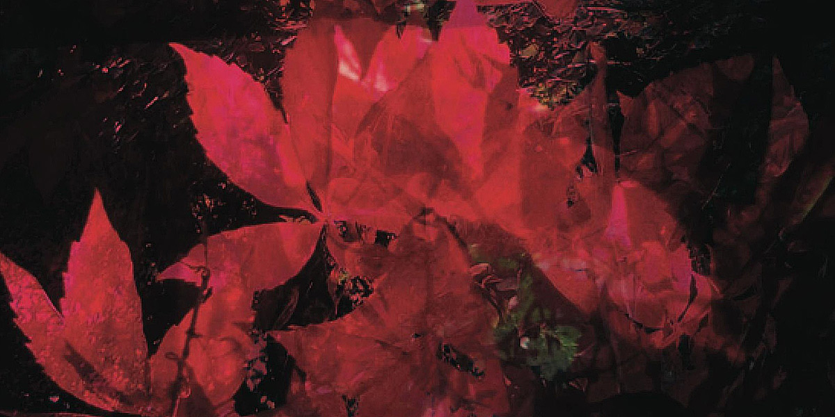 Cover detail from Voices From the Fire, published by Friendly Street Poets.