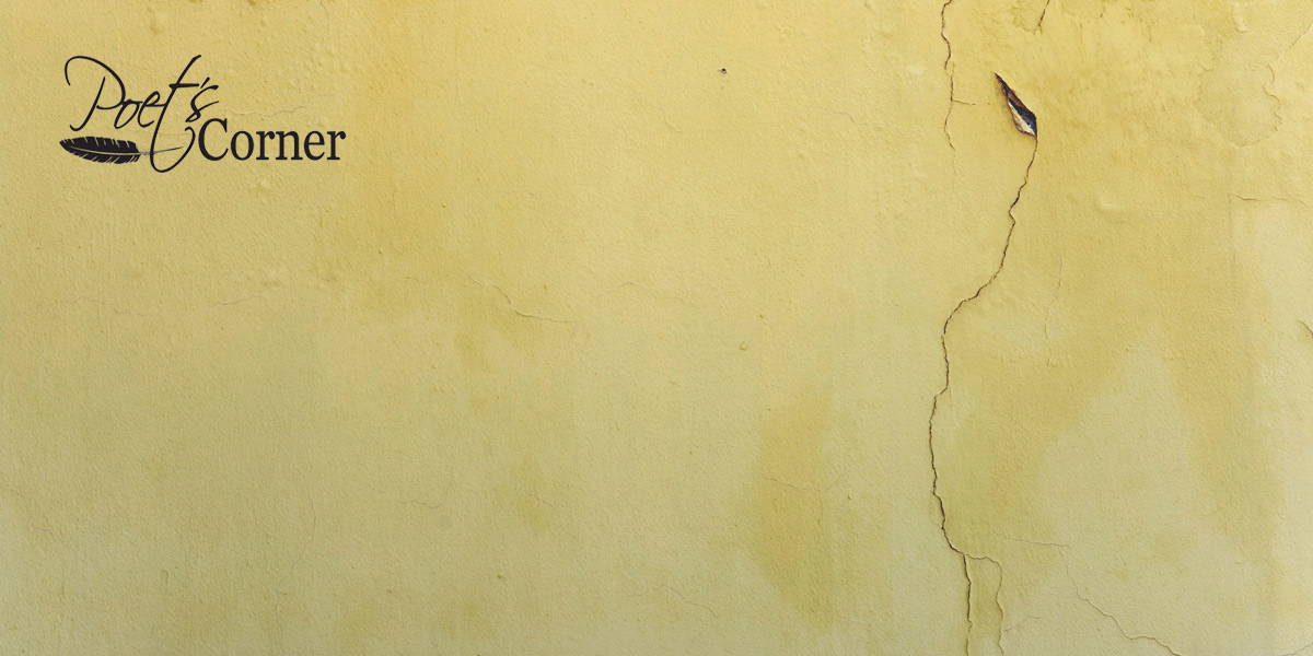Thumbnail for Poem: Fracture