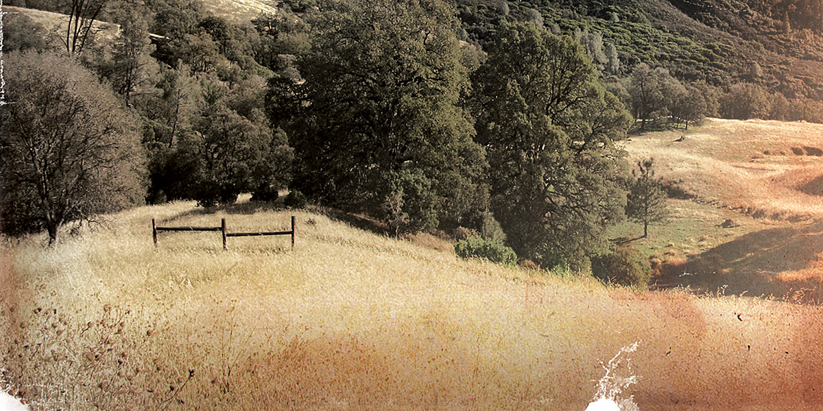 Thumbnail for David Vann’s Goat Mountain