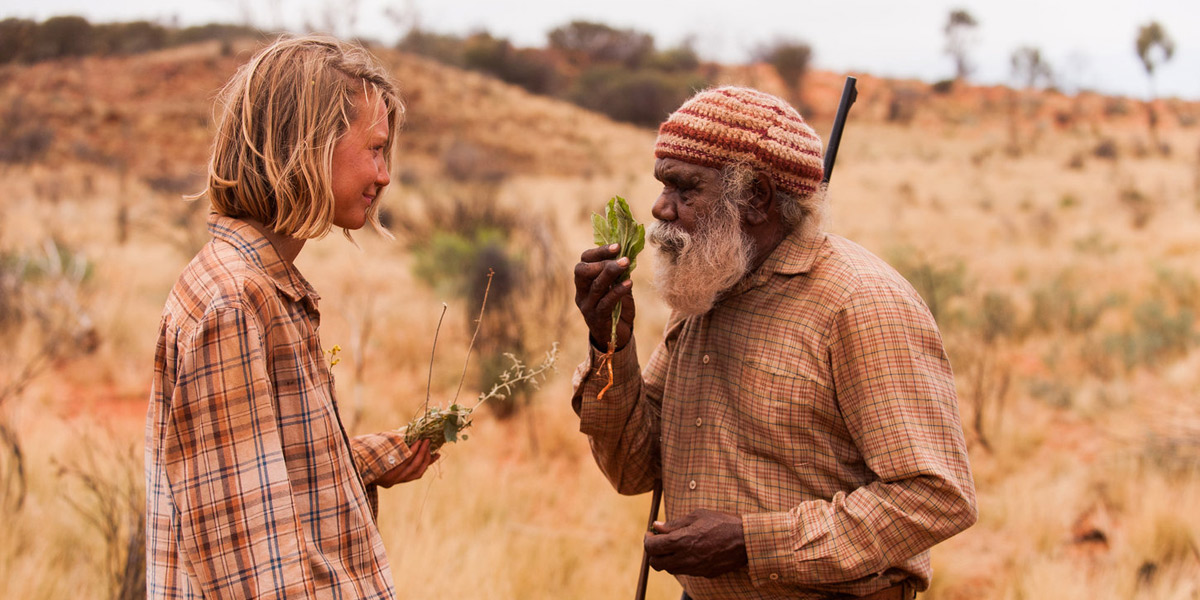 A scene from Tracks. Photo: Transmission Films