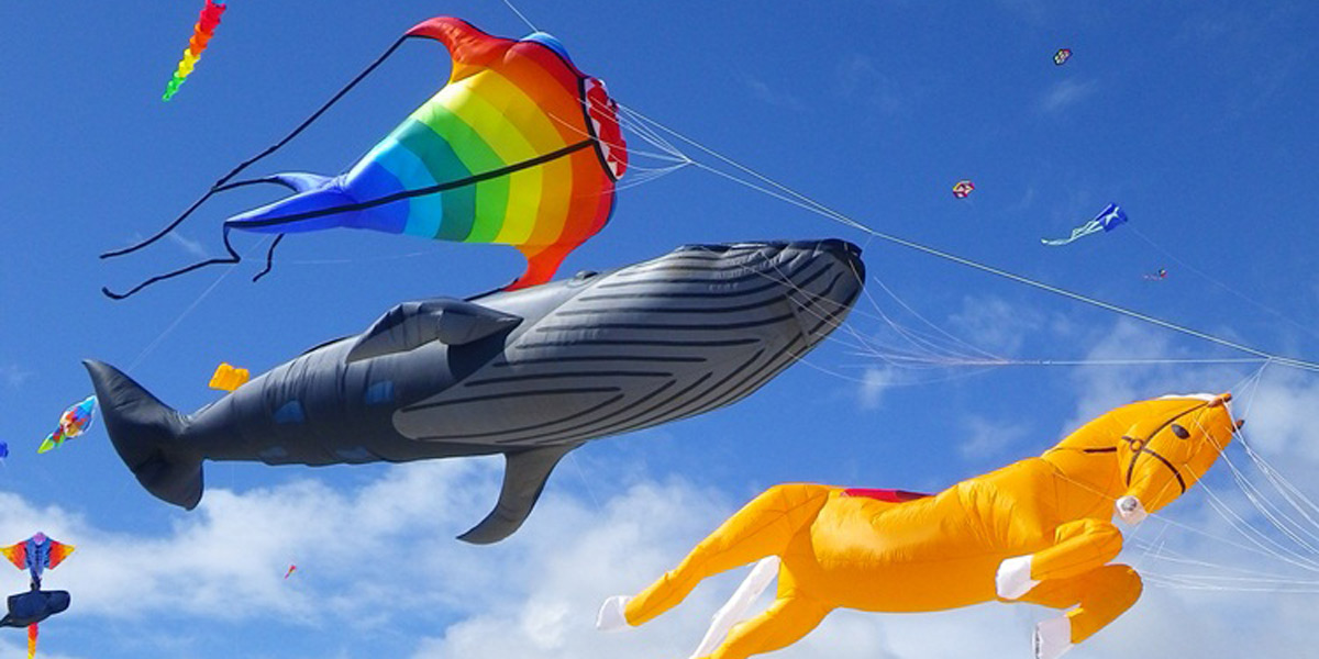 A flying circus. Photo: Adelaide International Kite Festival website