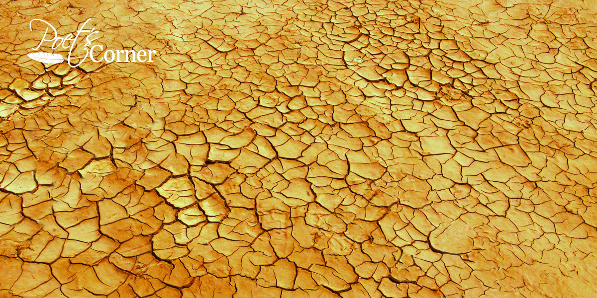 Thumbnail for Poem: Drought Survival