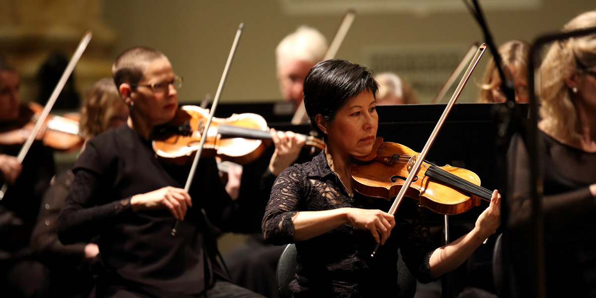 Thumbnail for Adelaide Symphony Orchestra: Our Don