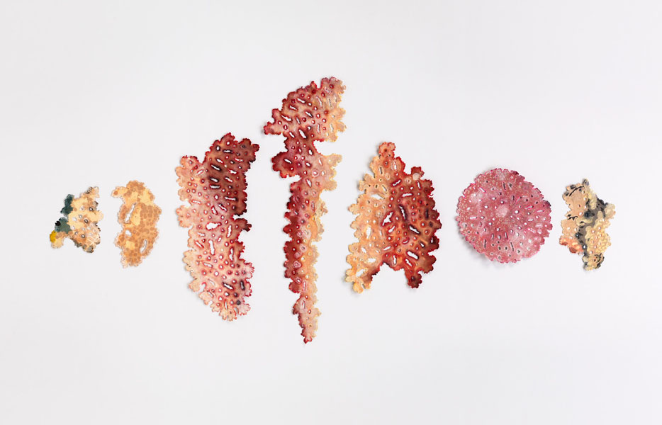 Chris De Rosa's Pink Remnants, inkjet print, etching and pigment stain, part of her SALA exhibition, The Sea Inside. Photo Grant Hancock