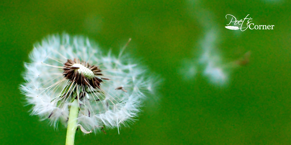 Thumbnail for Poem: Unsterile Environment