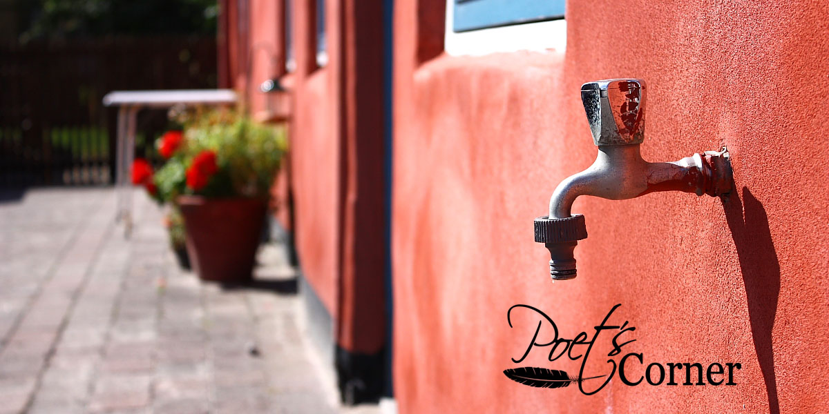 Photo: Tasanas/iStock