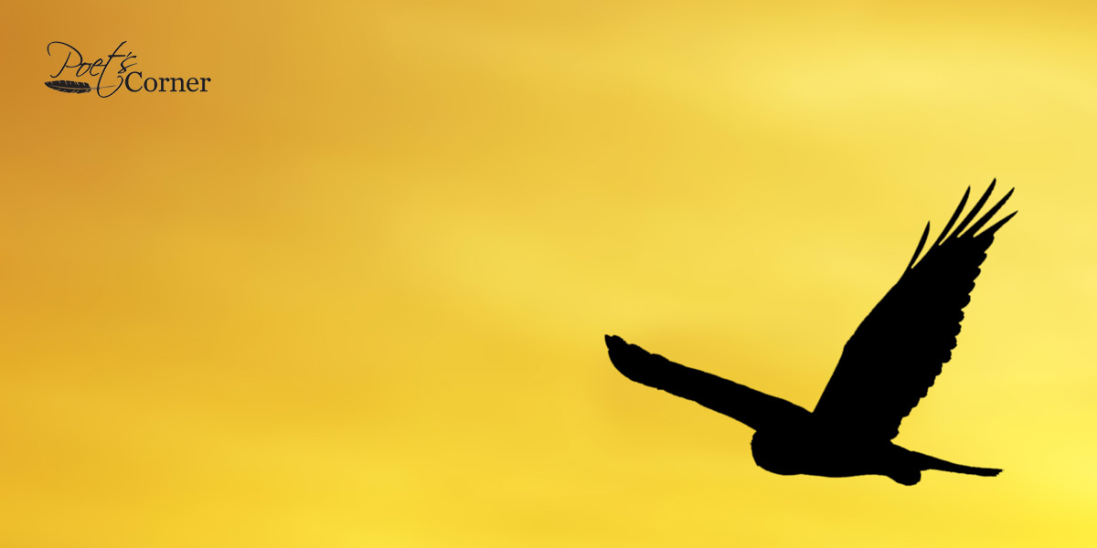 Thumbnail for Poem: Country Skies