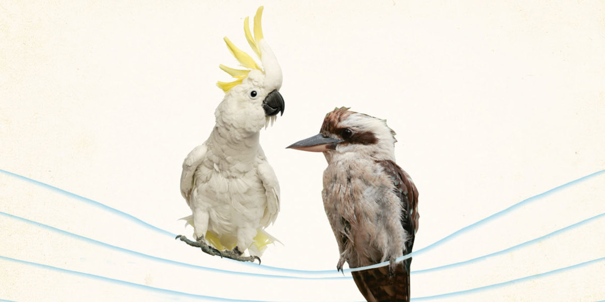 Thumbnail for The Story of Australian English