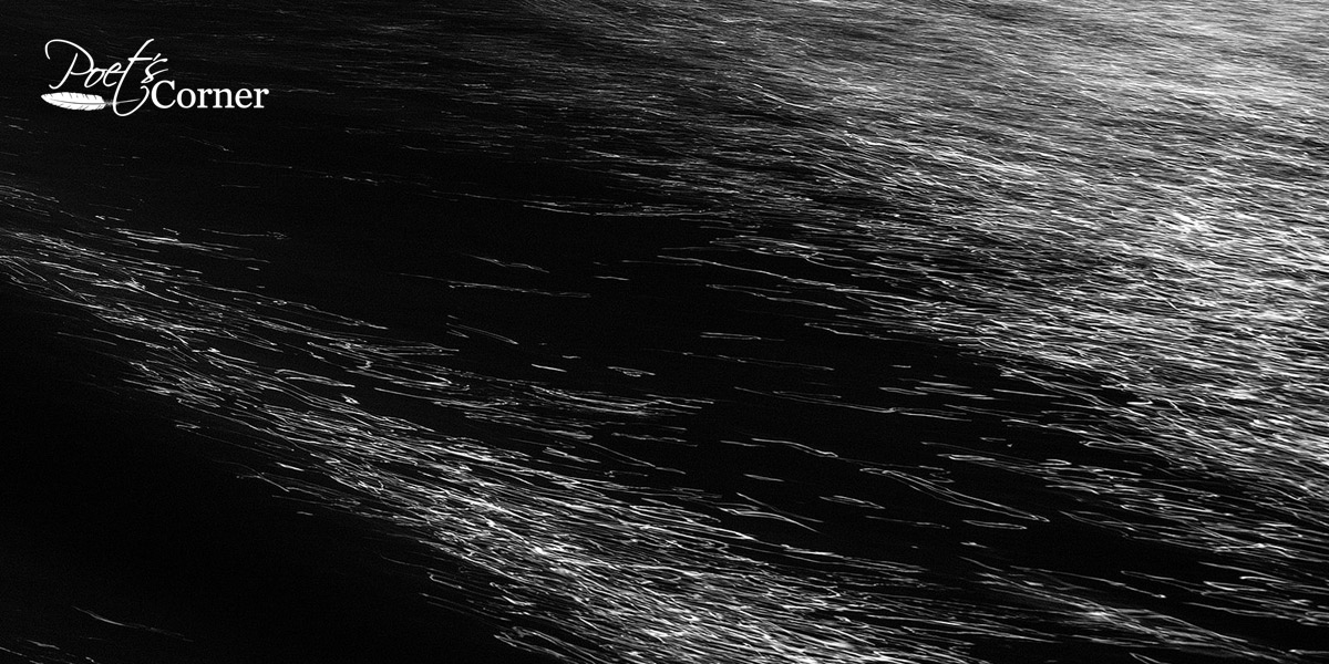 Thumbnail for Poem: The Day the Night Slept