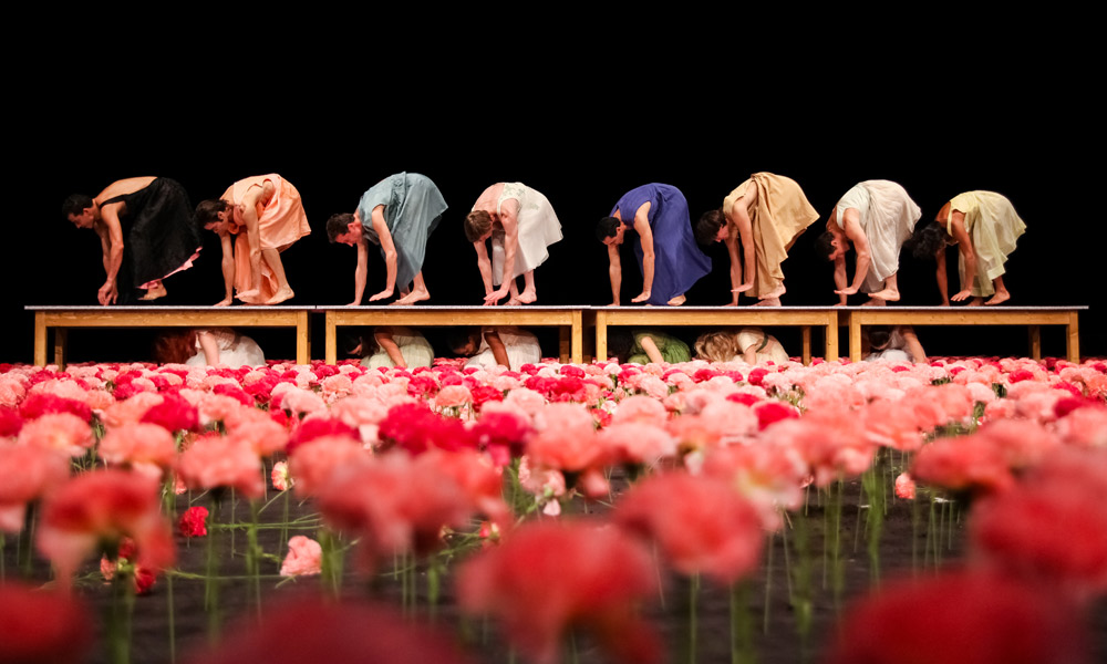 Thumbnail for InDaily’s 2016 Adelaide Festival picks