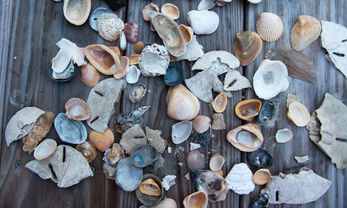 Thumbnail for Poem: Collecting Things