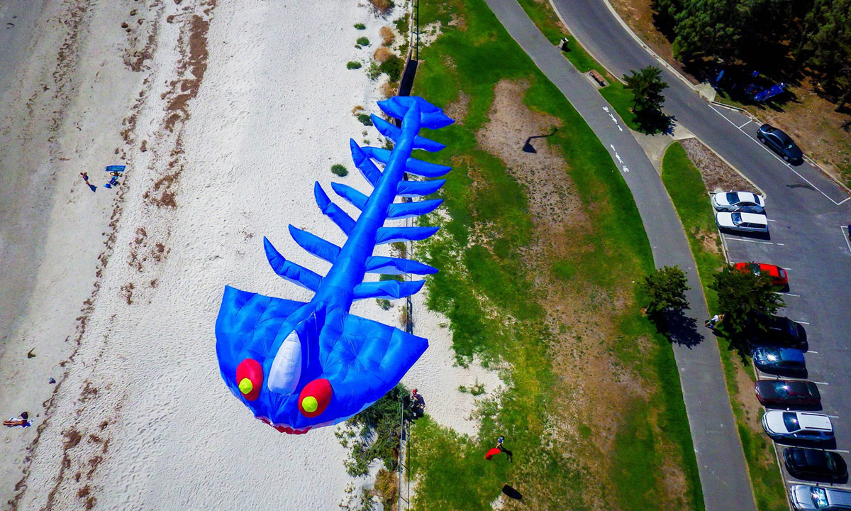 Thumbnail for What’s on: kites, cats, bricks and more
