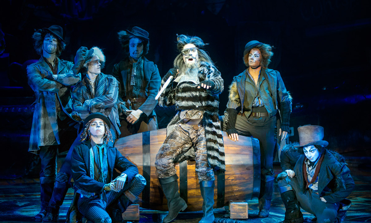 Cats the Musical. Photo: Hagen Hopkins