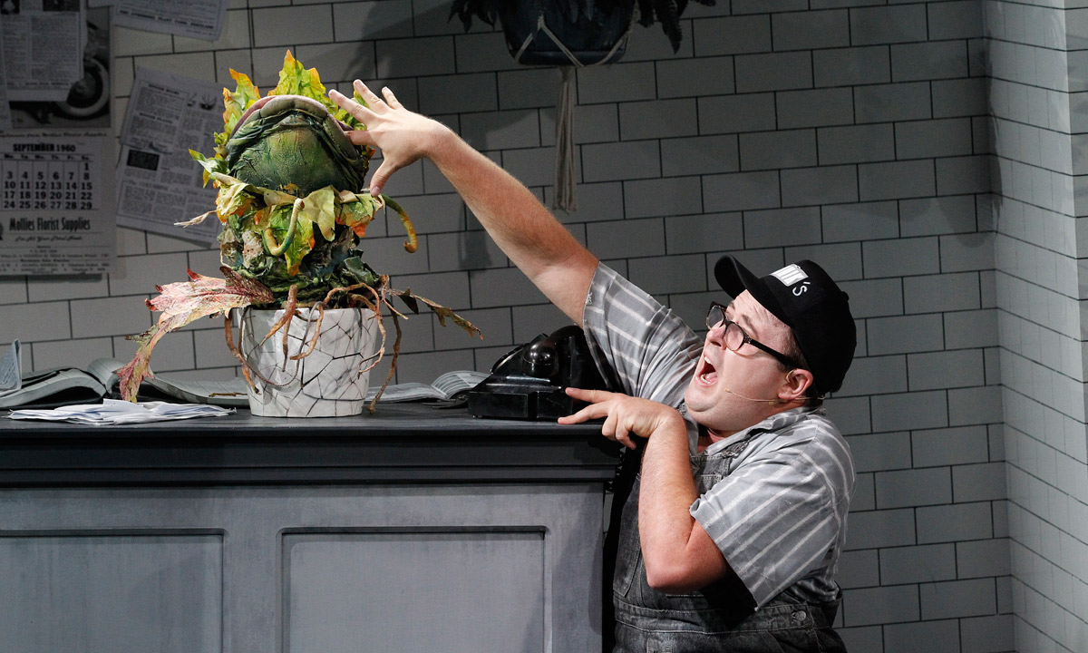Brent Hill as lovesick Seymour in Little Shop of Horrors. Photo: Jeff Busby.