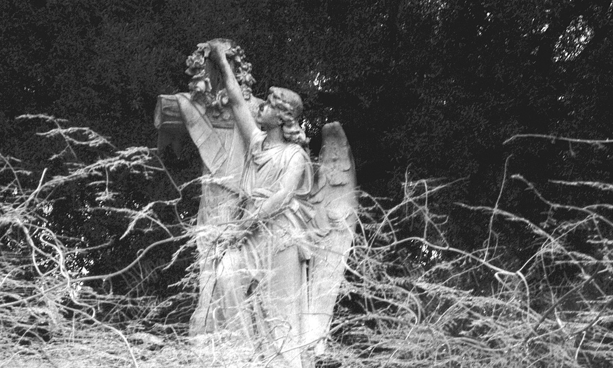 Stories from the grave. Photo from Quiet City: Walking in West Terrace Cemetery