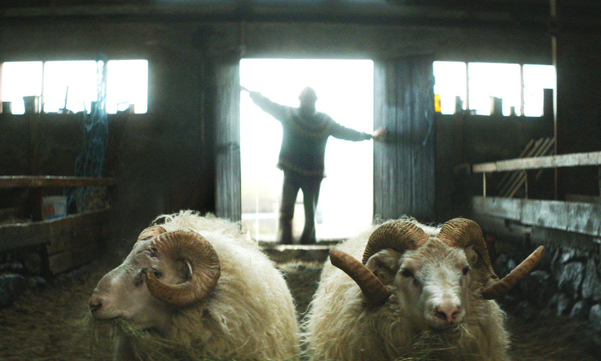 Thumbnail for Film review: Rams