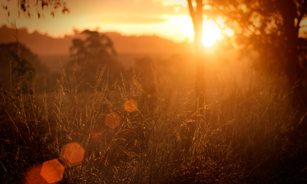 Sunlight through the rain drops. Photo: Indigo Skies Photography / flickr