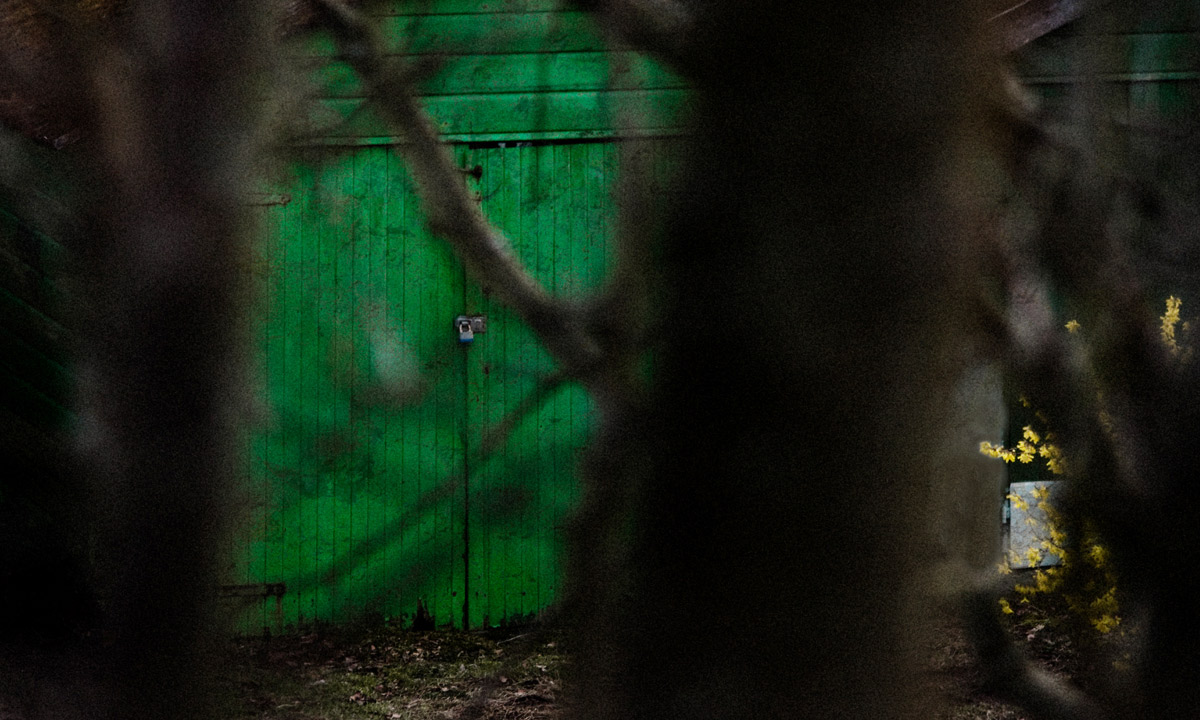 Photo: Alan Henderson / flickr