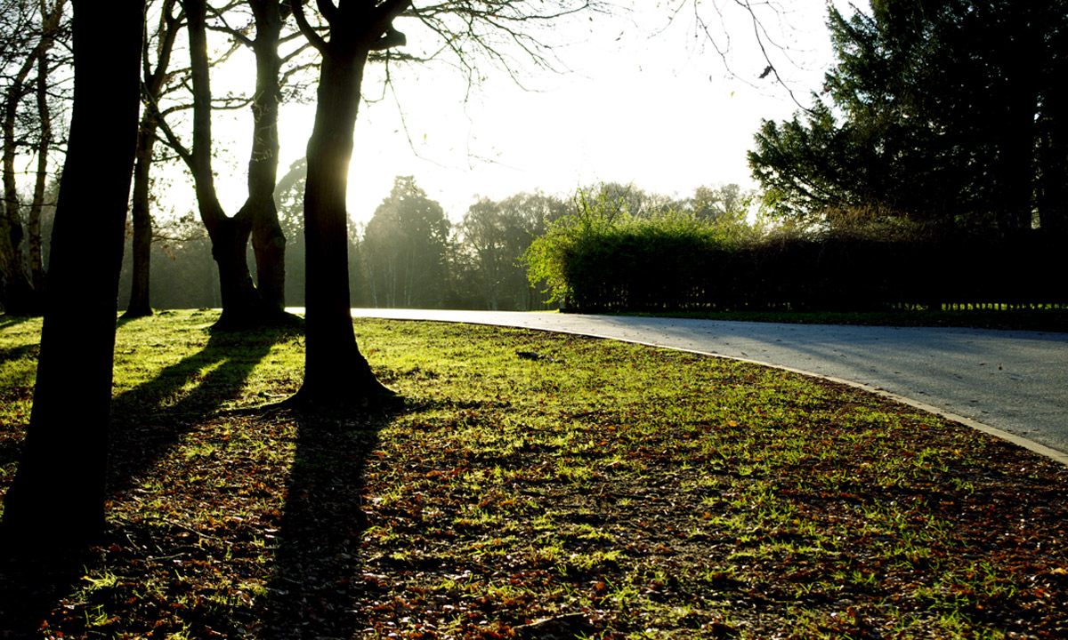 Thumbnail for Poem: Two in the Park
