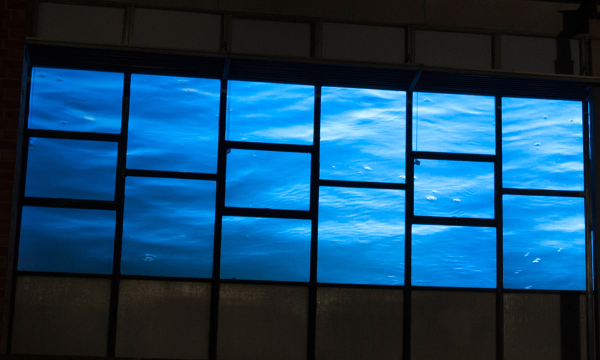 Thumbnail for Flowing river lights up Peel Street