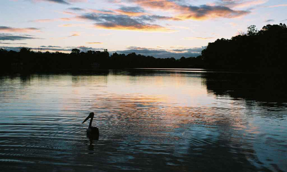 Photo: David Clarke/flickr