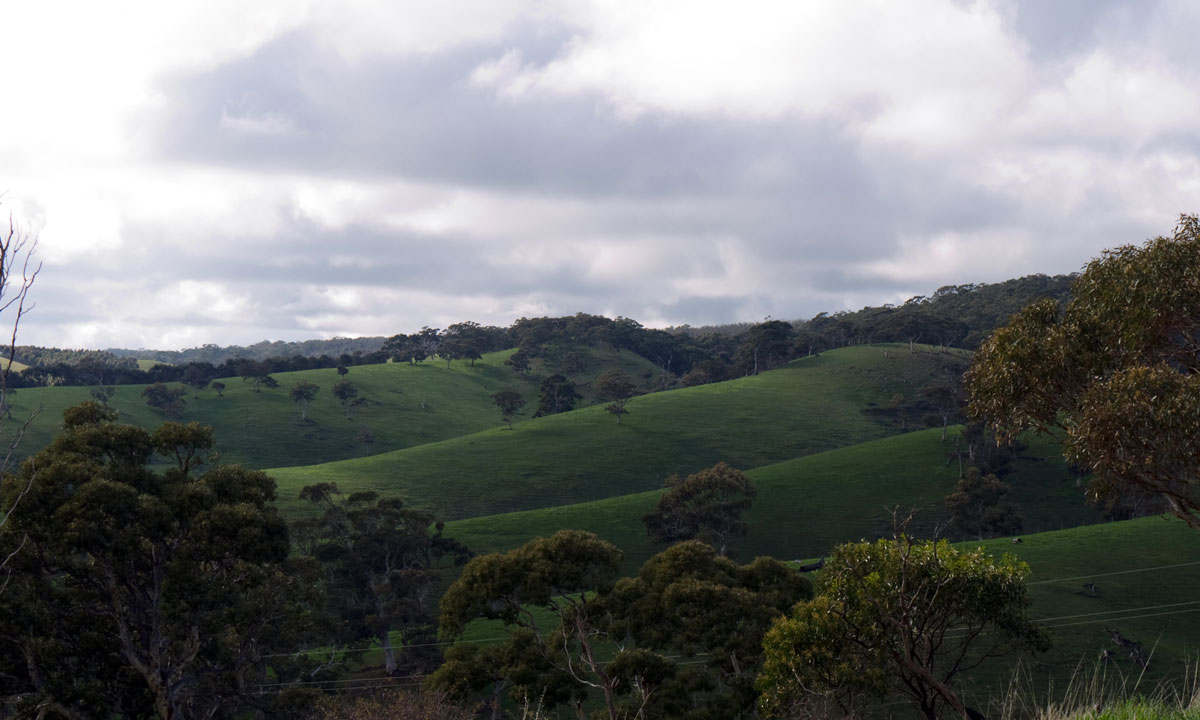 Thumbnail for Poem: The Hills Are There Again Today