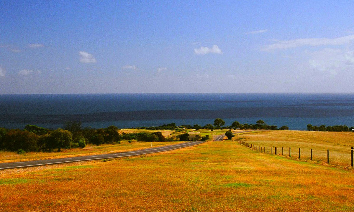 Thumbnail for Poem: Racing the Kangaroo Island Bus