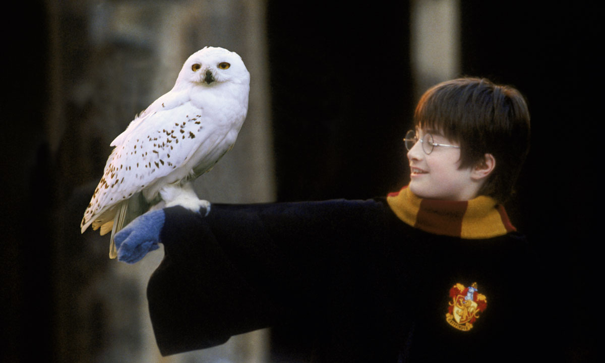 A scene from Harry Potter and the Philosopher's Stone.
