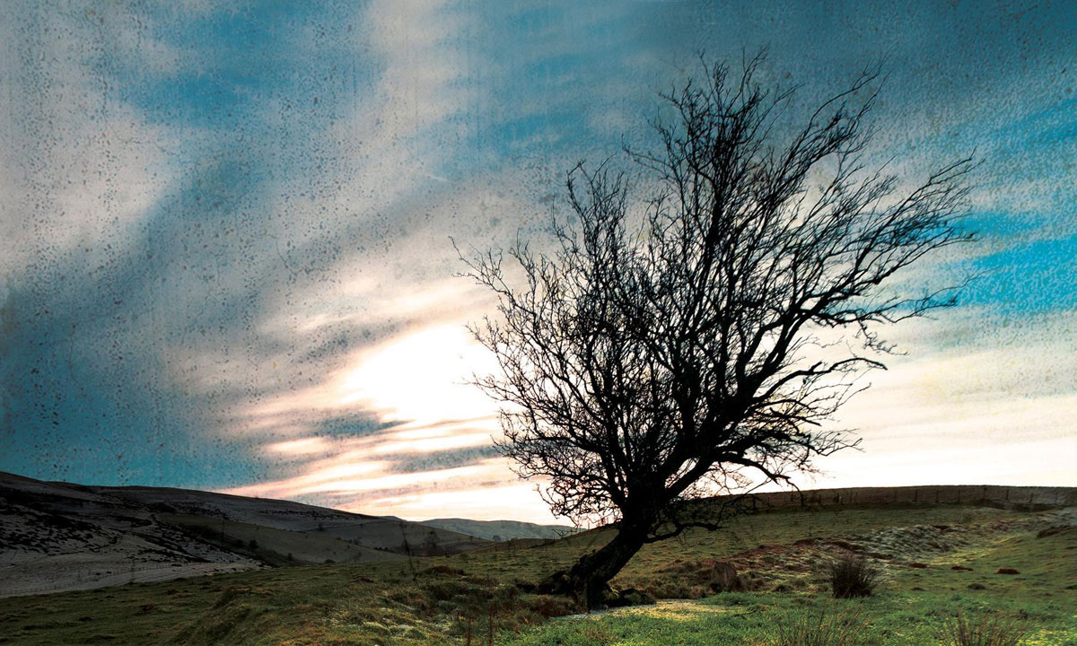 Thumbnail for Book extract: Hannah Kent’s The Good People