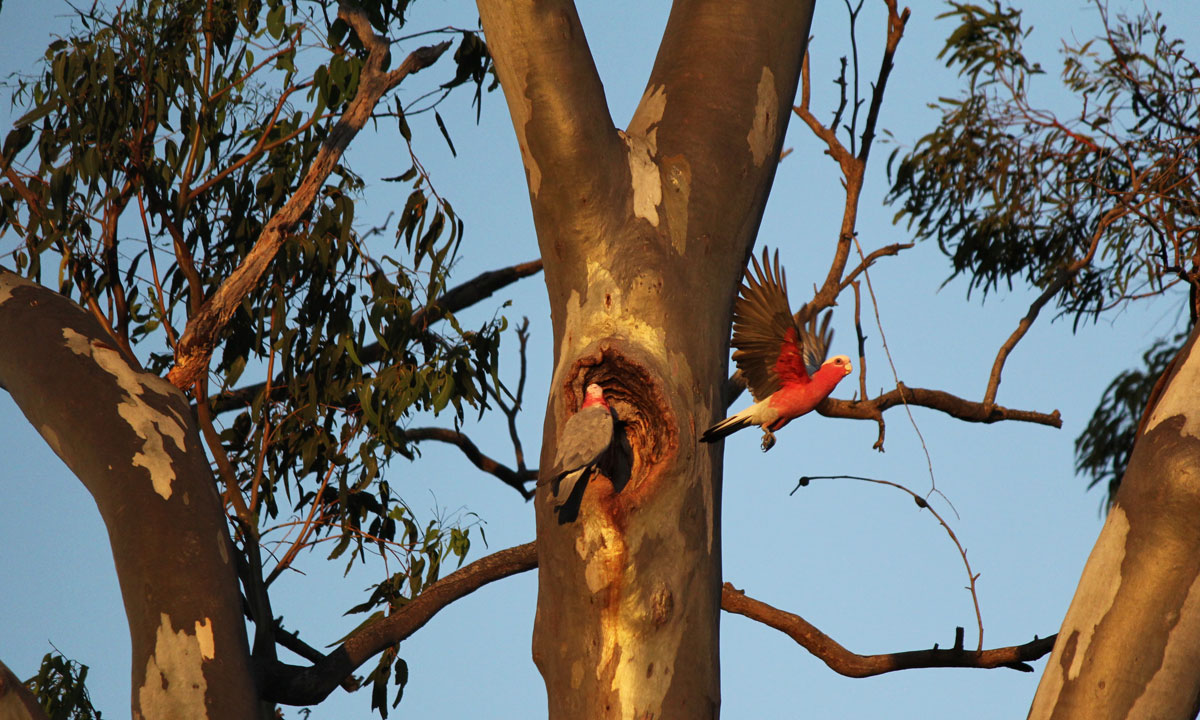 Photo: Ben May / flickr