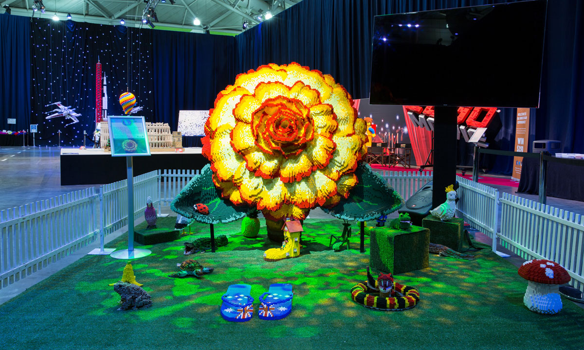 Thumbnail for What’s on: Lego art, Proms, flicks & gigs