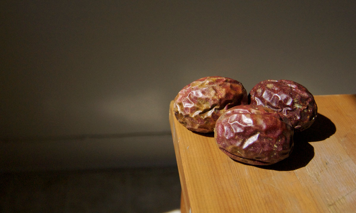 Thumbnail for Poems: I never cared for passionfruit…