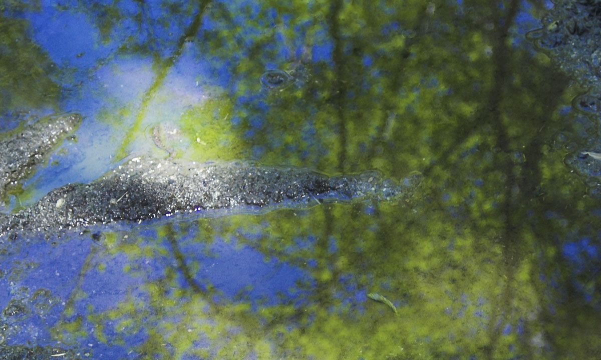 Thumbnail for Poem: Cradled