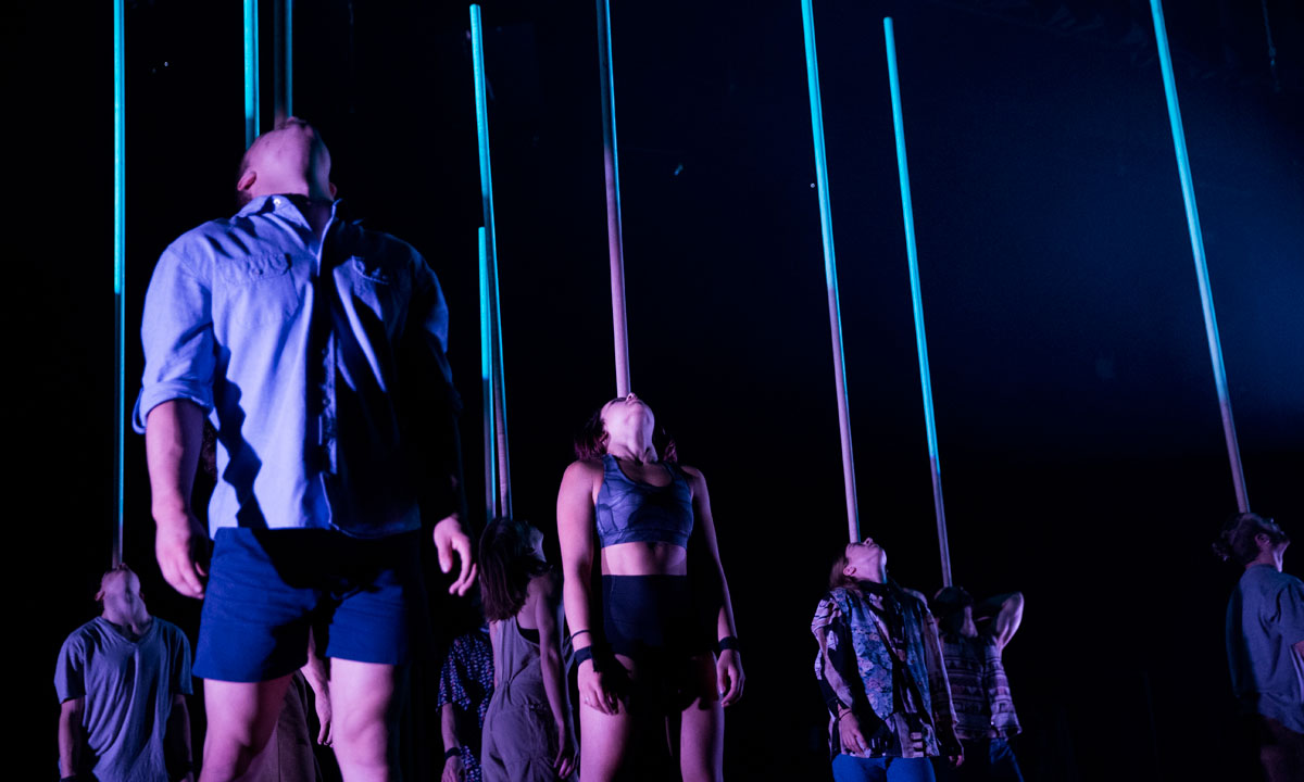Gravity and Other Myths' 2017 Festival show, Backbone. Photo: Shane Reid