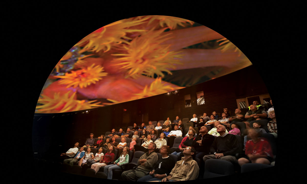 Viewers experience Lynette Wallworth's Coral – Rekindling Venus. 