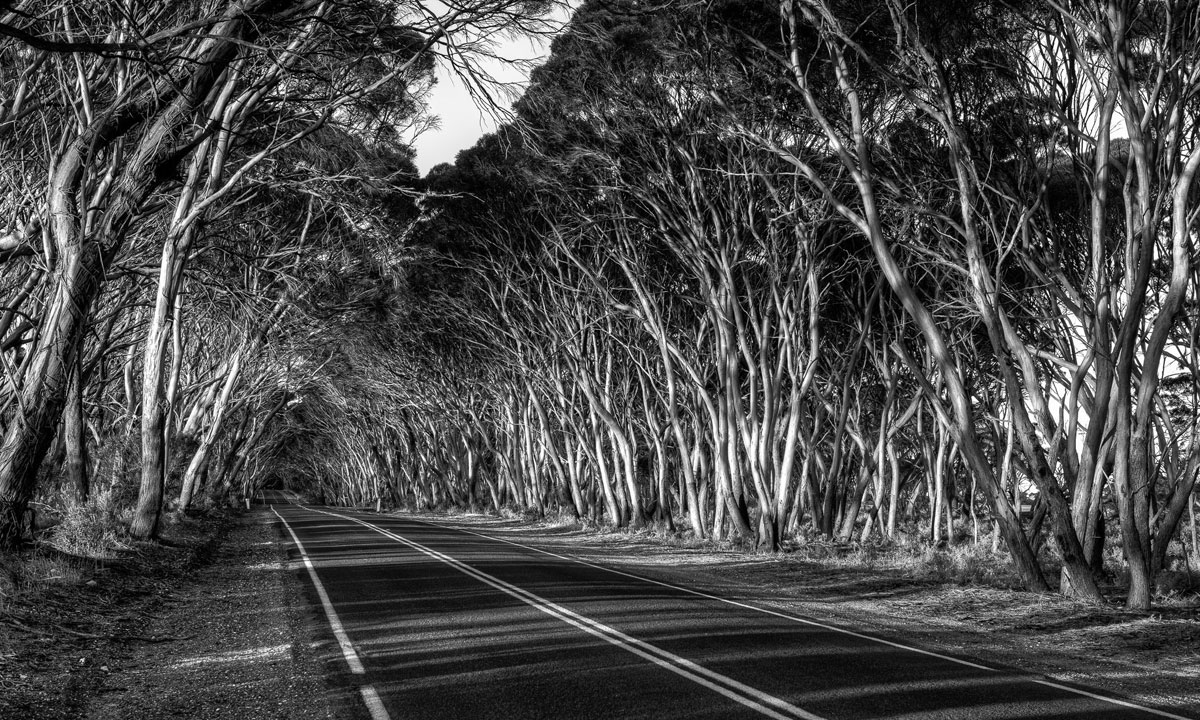 Kangaroo Island. Photo: Rodney Campbell / flickr