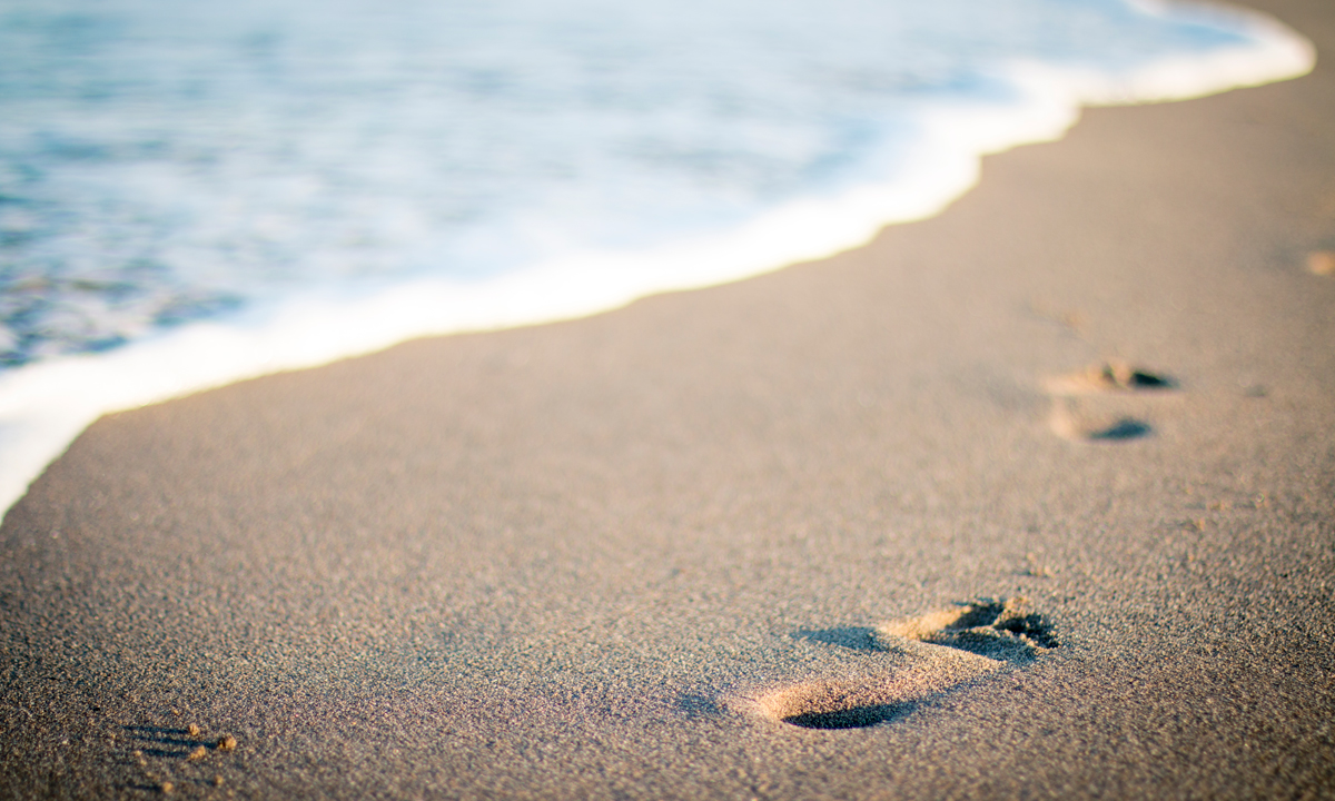 Thumbnail for Poems from the shoreline