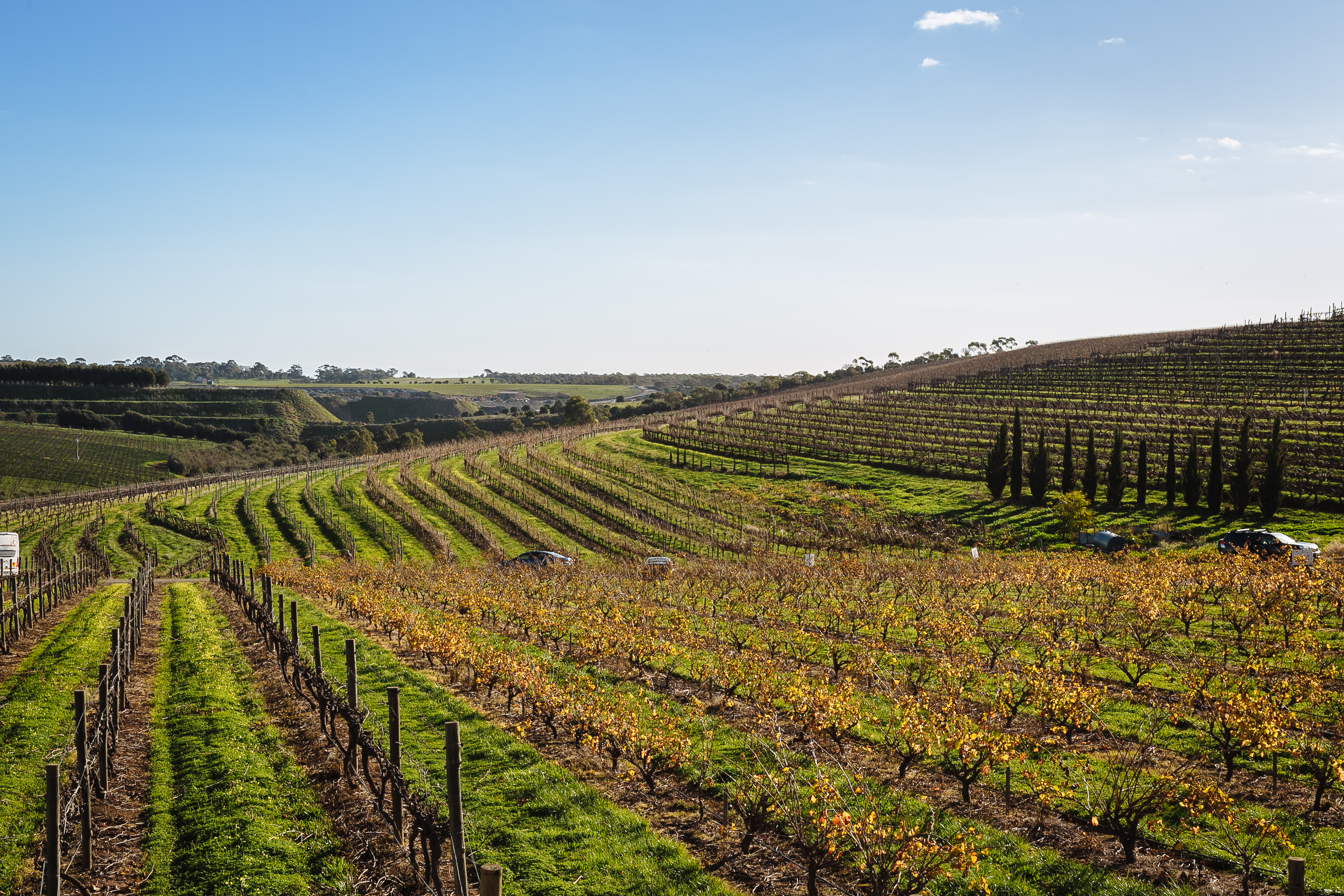 Thumbnail for Poem: Vineyard Hills