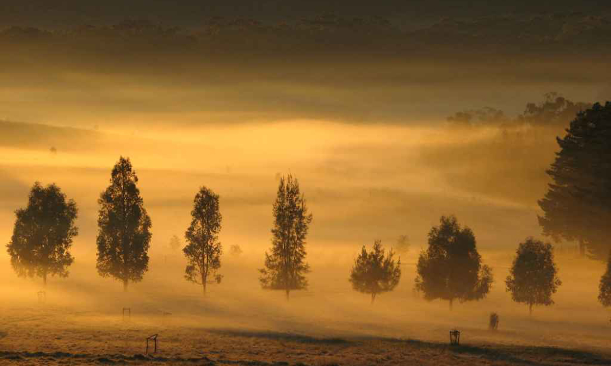 Photo: David Clarke / flickr