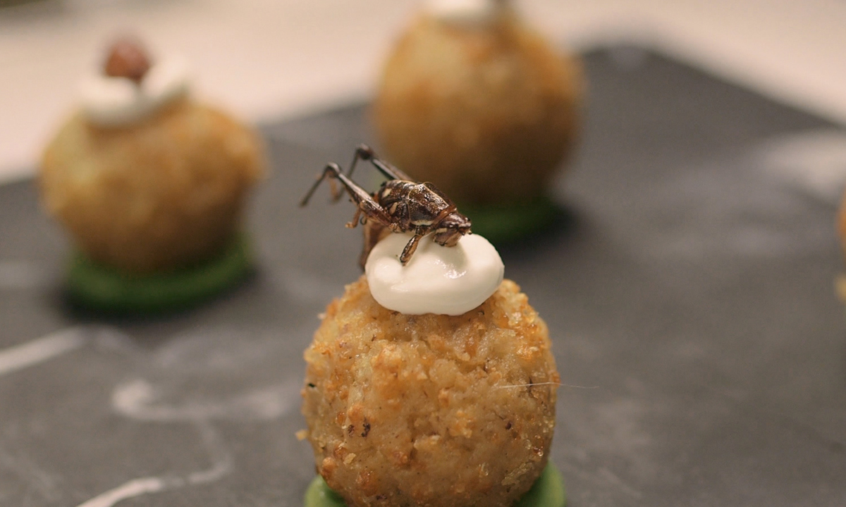 Thumbnail for The Gateway Bug: a film about the future of food