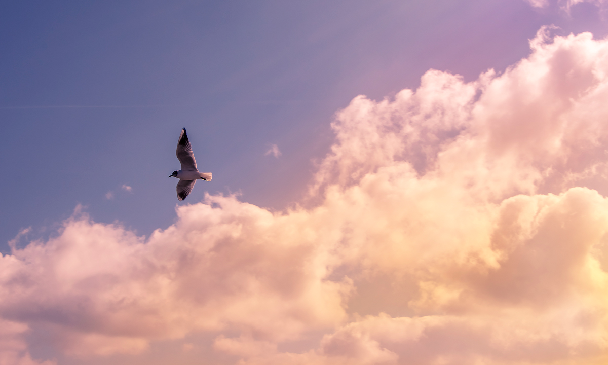 Thumbnail for Poem: Last Days at Henley Beach South