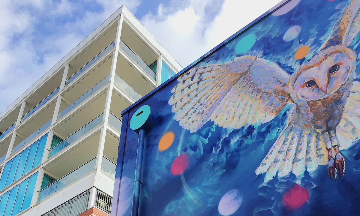 Thumbnail for Street art tours show Adelaide in a different light