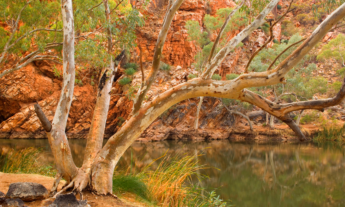 Photo: Mary Evans Picture Library