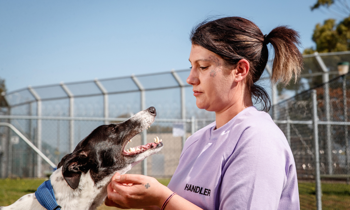 Prisoners and Pups will premiere at Hart's Mill in Port Adelaide on October 12.