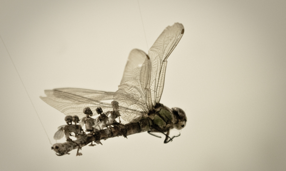 Thumbnail for Poems inspired by the art of nature