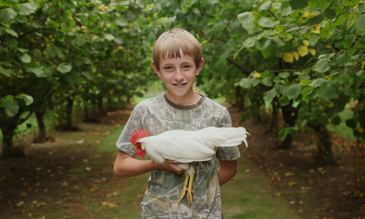 Thumbnail for ‘It’s not easy being a chook fancier’